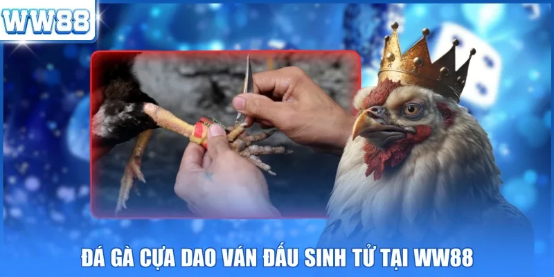 Đá gà cựa dao ván đấu sinh tử tại WW88