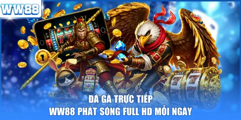 Đá gà trực tiếp WW88 phát sóng Full HD mỗi ngày 